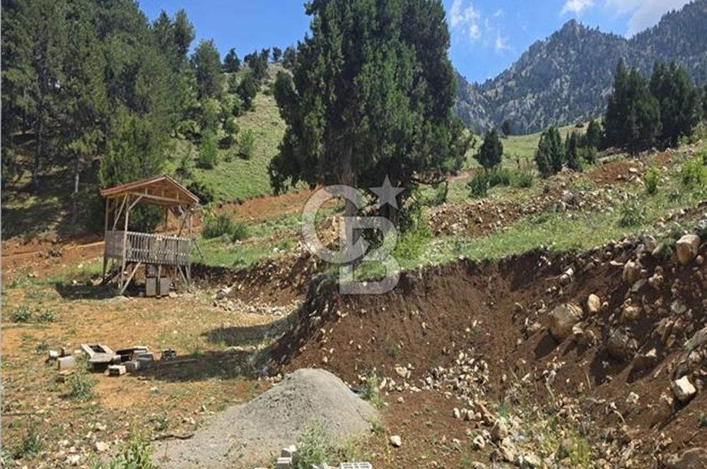 CB'DEN TEKİR'DE TEK TAPU 1730 m2 MANZARALI SATILIK ARSA