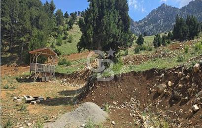 CB'DEN TEKİR'DE TEK TAPU 1730 m2 MANZARALI SATILIK ARSA