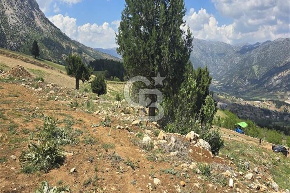 CB'DEN TEKİR'DE TEK TAPU 1730 m2 MANZARALI SATILIK ARSA