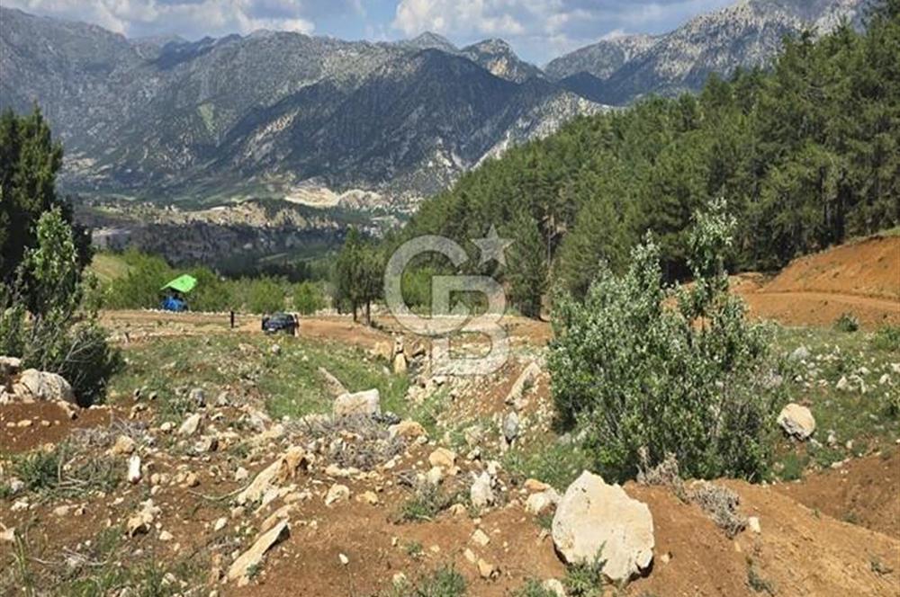 CB'DEN TEKİR'DE TEK TAPU 1730 m2 MANZARALI SATILIK ARSA
