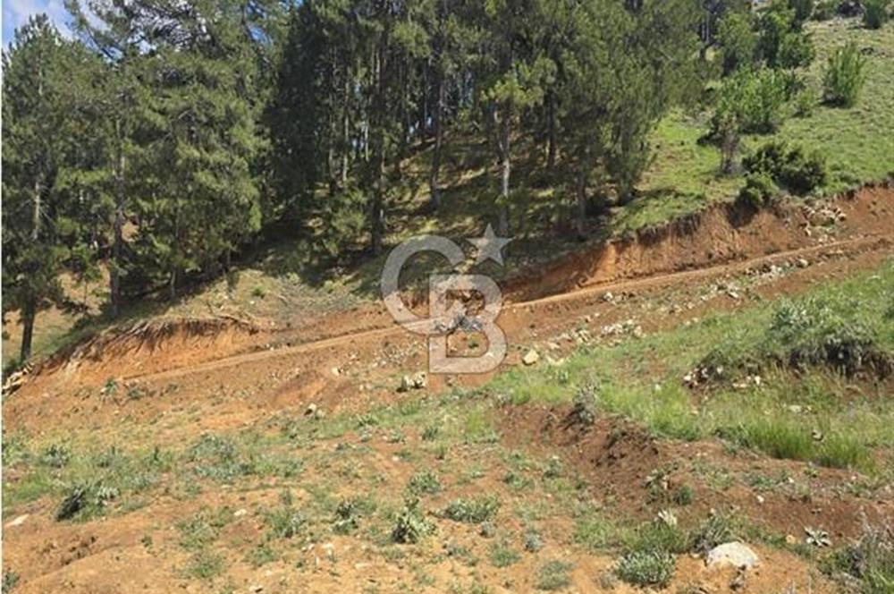 CB'DEN TEKİR'DE TEK TAPU 1730 m2 MANZARALI SATILIK ARSA
