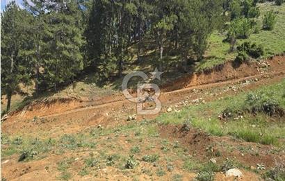 CB'DEN TEKİR'DE TEK TAPU 1730 m2 MANZARALI SATILIK ARSA