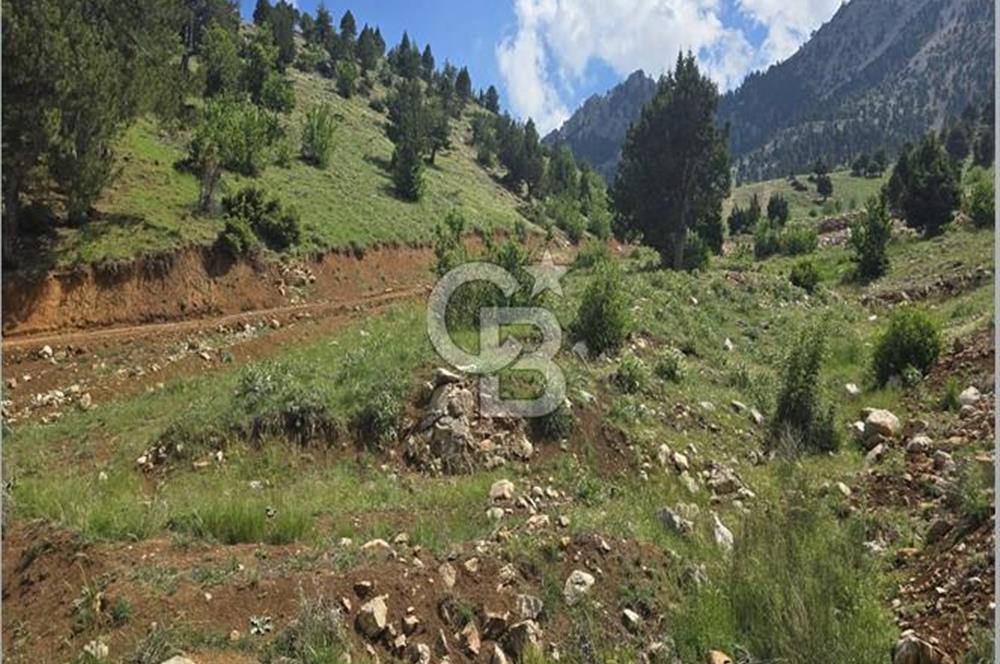 CB'DEN TEKİR'DE TEK TAPU 1730 m2 MANZARALI SATILIK ARSA