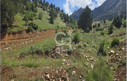 CB'DEN TEKİR'DE TEK TAPU 1730 m2 MANZARALI SATILIK ARSA