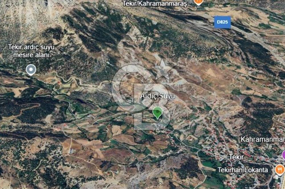 CB'DEN TEKİR'DE TEK TAPU 1730 m2 MANZARALI SATILIK ARSA