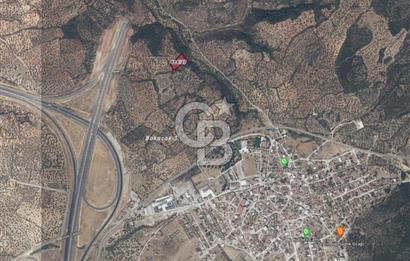BERGAMA ZEYTİNDAĞ'DA YATIRIMLIK SATILIK ÇOK İYİ KONUM ZEYTİNLİK
