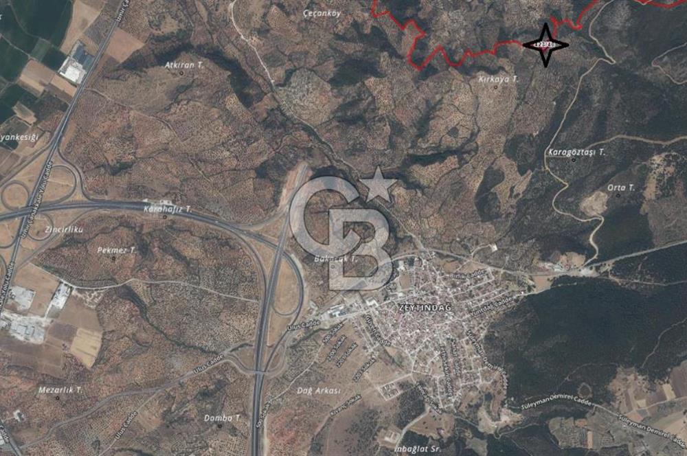 EGE'DE ZEYTİNDAĞ BU FİYATA SATILIK FIRSAT YATIRIMLIK ZEYTİNLİK