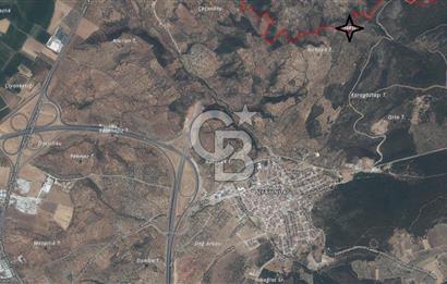 EGE'DE ZEYTİNDAĞ BU FİYATA SATILIK FIRSAT YATIRIMLIK ZEYTİNLİK