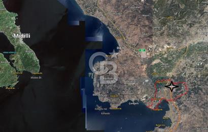 BERGAMA ZEYTİNDAĞ'DA YATIRIMLIK SATILIK ÇOK İYİ KONUM ZEYTİNLİK