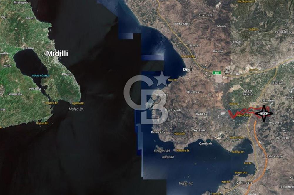 BERGAMA TEKKEDERE'DE YATIRIMLIK SATILIK ZEYTİNLİK
