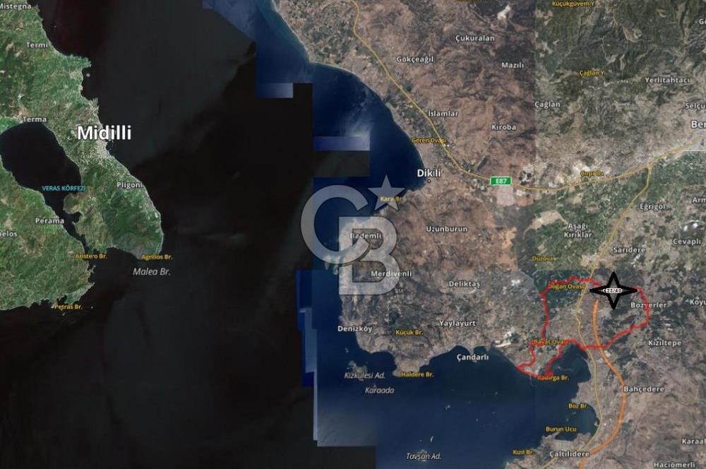 EGE'DE ZEYTİNDAĞ BU FİYATA SATILIK FIRSAT YATIRIMLIK ZEYTİNLİK