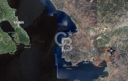 EGE'DE ZEYTİNDAĞ BU FİYATA SATILIK FIRSAT YATIRIMLIK ZEYTİNLİK