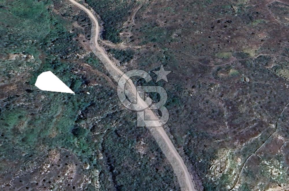 MUĞLA;MİLAS,AKÇAKAYA DA SATILIK YATIRIMLIK ARAZİ