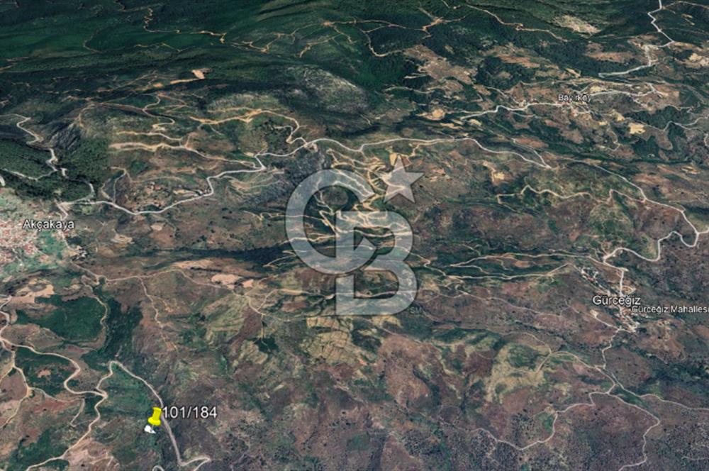 MUĞLA;MİLAS,AKÇAKAYA DA SATILIK YATIRIMLIK ARAZİ