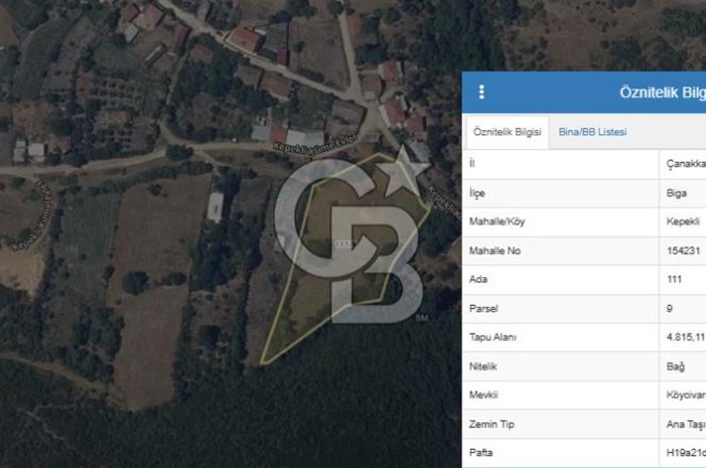 Çanakkale Biga Kepekli Köyü’nde 4.815 m² Köy İçi Arsa – 4.052 m² İmarlı