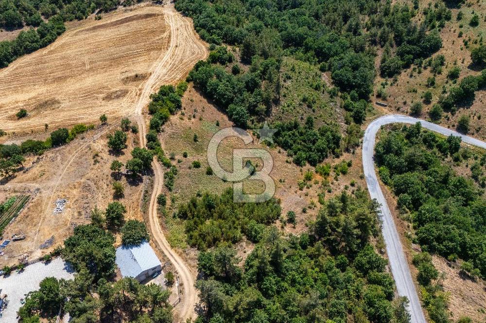 ÇANAKKALE ÇAN TERZİALAN'DA EKOTURİZM İMARLI SATILIK ARSA