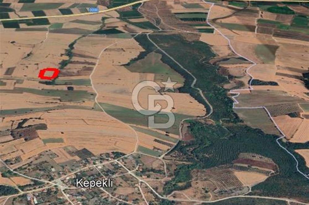 Çanakkale Biga Kepekli Köyü’nde 4.815 m² Köy İçi Arsa – 4.052 m² İmarlı