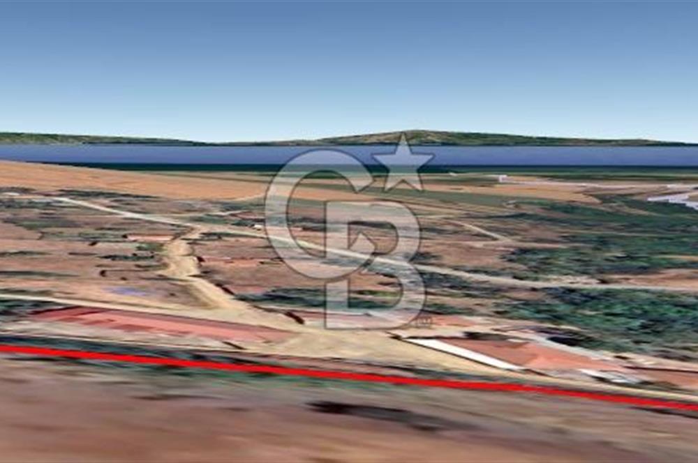 Çanakkale Biga Kepekli Köyü’nde 4.815 m² Köy İçi Arsa – 4.052 m² İmarlı