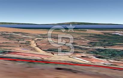 Çanakkale Biga Kepekli Köyü’nde 4.815 m² Köy İçi Arsa – 4.052 m² İmarlı