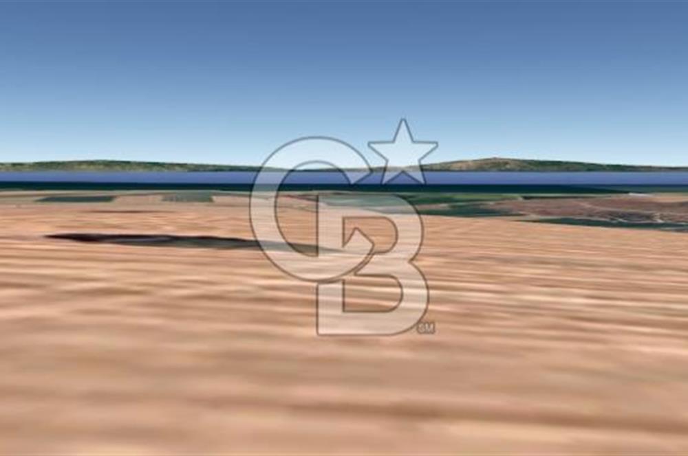 çanakkale biga kepekli satılık tarla