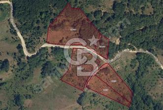 BURSA GEMLİK 6.385M2 RESMİ YOLLU KUPON TARLA