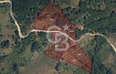 BURSA GEMLİK 6.385M2 RESMİ YOLLU KUPON TARLA