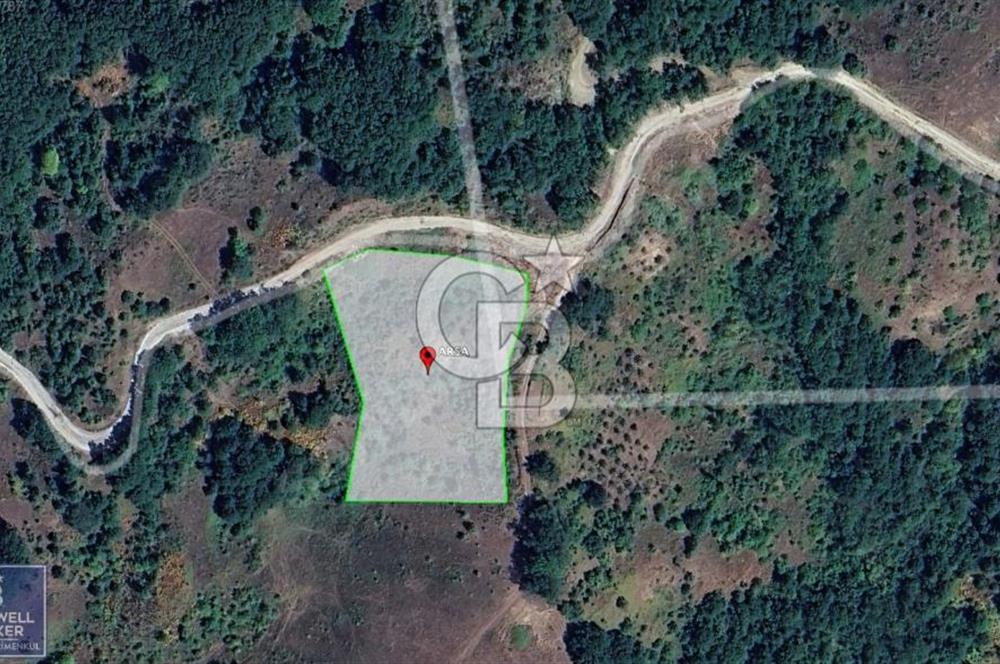 BURSA GEMLİK 6.385M2 RESMİ YOLLU KUPON TARLA
