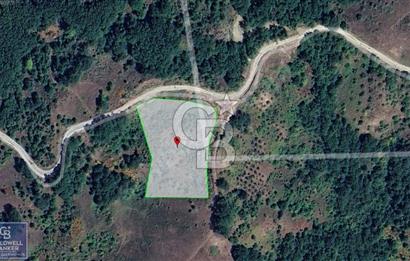 BURSA GEMLİK 6.385M2 RESMİ YOLLU KUPON TARLA