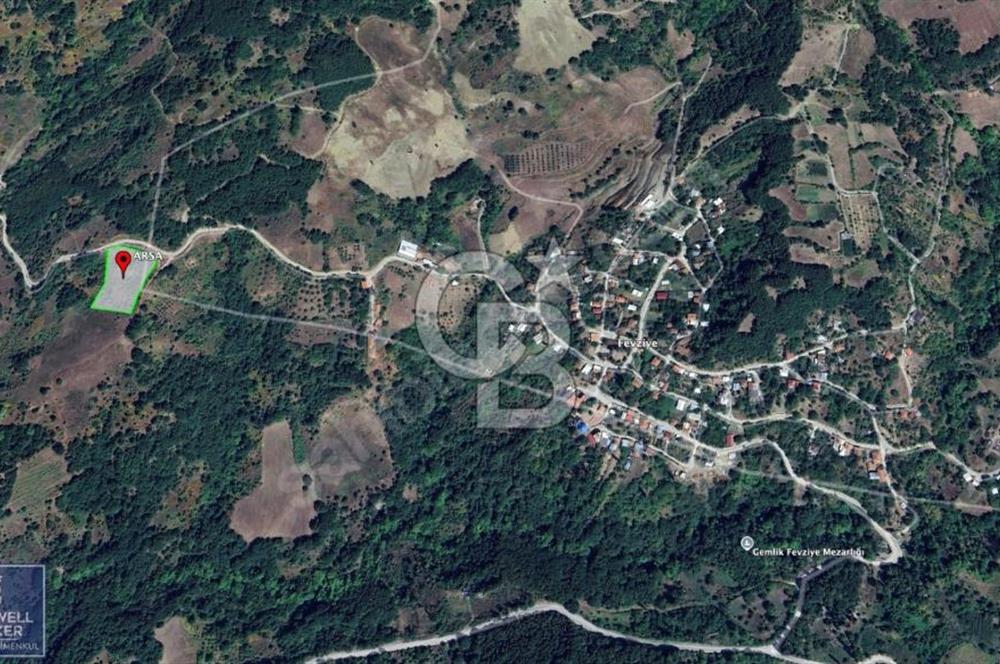 BURSA GEMLİK 6.385M2 RESMİ YOLLU KUPON TARLA