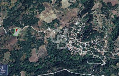 BURSA GEMLİK 6.385M2 RESMİ YOLLU KUPON TARLA
