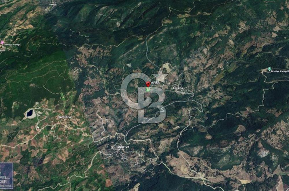 BURSA GEMLİK 6.385M2 RESMİ YOLLU KUPON TARLA