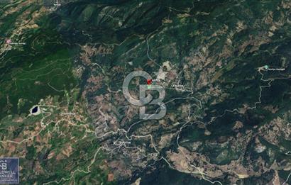 BURSA GEMLİK 6.385M2 RESMİ YOLLU KUPON TARLA