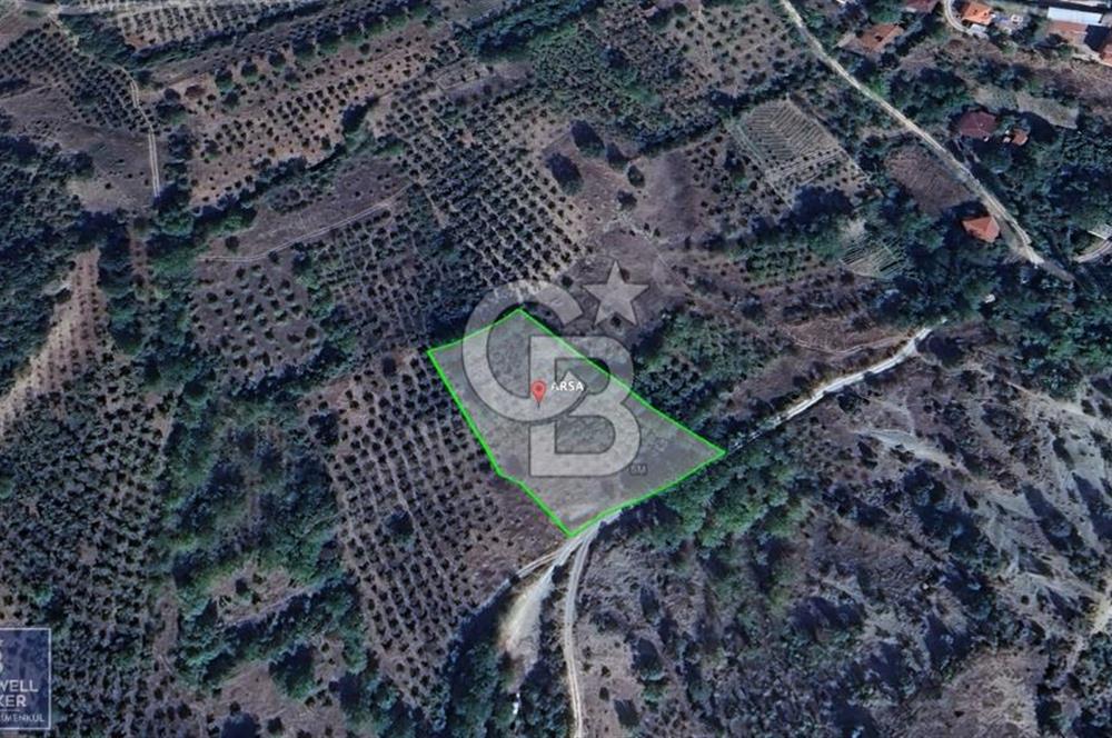 BOLU GÖYNÜK RESMİ YOLA CEPHE 3.814M2 İMARLI ARSA
