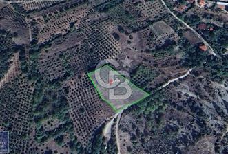 BOLU GÖYNÜK RESMİ YOLA CEPHE 3.814M2 İMARLI ARSA