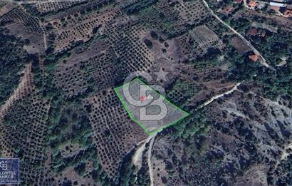 BOLU GÖYNÜK RESMİ YOLA CEPHE 3.814M2 İMARLI ARSA