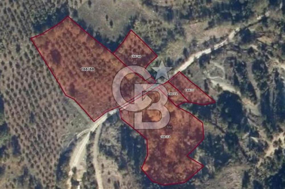 BOLU GÖYNÜK RESMİ YOLA CEPHE 3.814M2 İMARLI ARSA