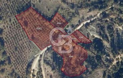 BOLU GÖYNÜK RESMİ YOLA CEPHE 3.814M2 İMARLI ARSA