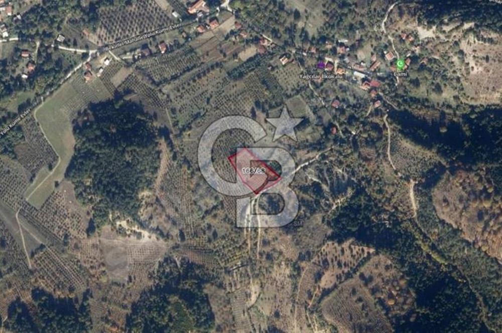 BOLU GÖYNÜK RESMİ YOLA CEPHE 3.814M2 İMARLI ARSA