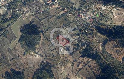 BOLU GÖYNÜK RESMİ YOLA CEPHE 3.814M2 İMARLI ARSA
