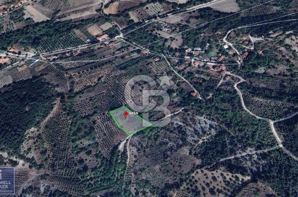 BOLU GÖYNÜK RESMİ YOLA CEPHE 3.814M2 İMARLI ARSA