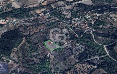 BOLU GÖYNÜK RESMİ YOLA CEPHE 3.814M2 İMARLI ARSA
