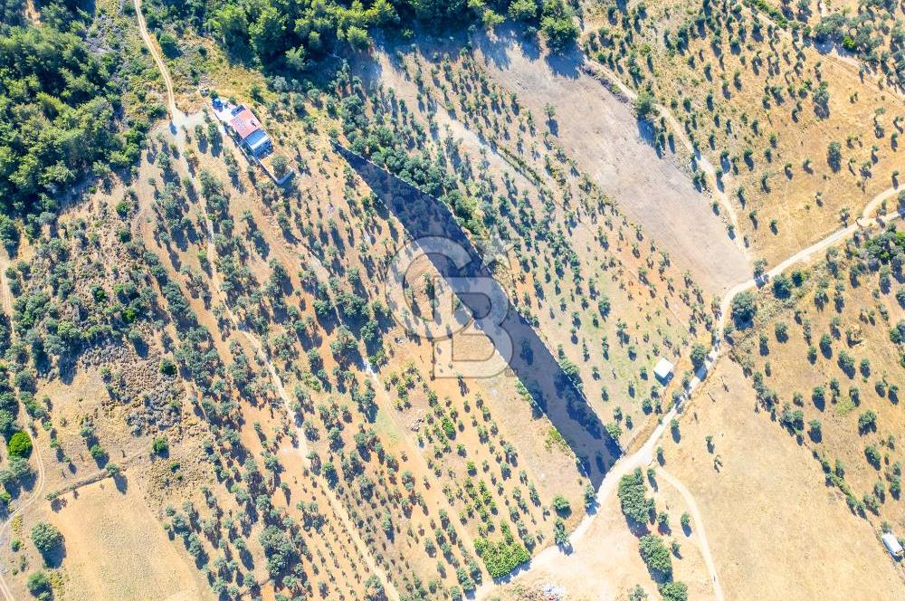 GÜZELBAHÇE YELKİ’DE SATILIK TARLA
