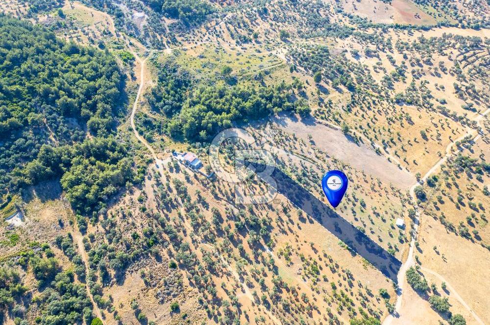GÜZELBAHÇE YELKİ’DE SATILIK TARLA