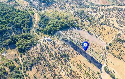 GÜZELBAHÇE YELKİ’DE SATILIK TARLA