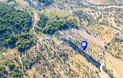 GÜZELBAHÇE YELKİ’DE SATILIK TARLA