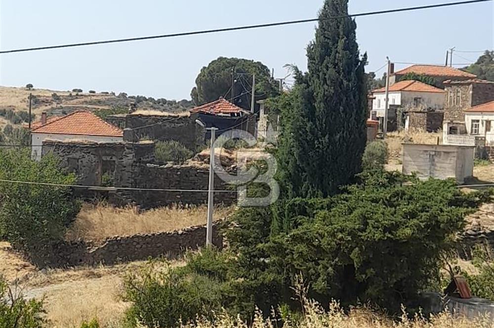 Karaburun Salmanda Doğayla İç İçe 6032 m² Müstakil Tarla