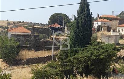Karaburun Salmanda Doğayla İç İçe 6032 m² Müstakil Tarla