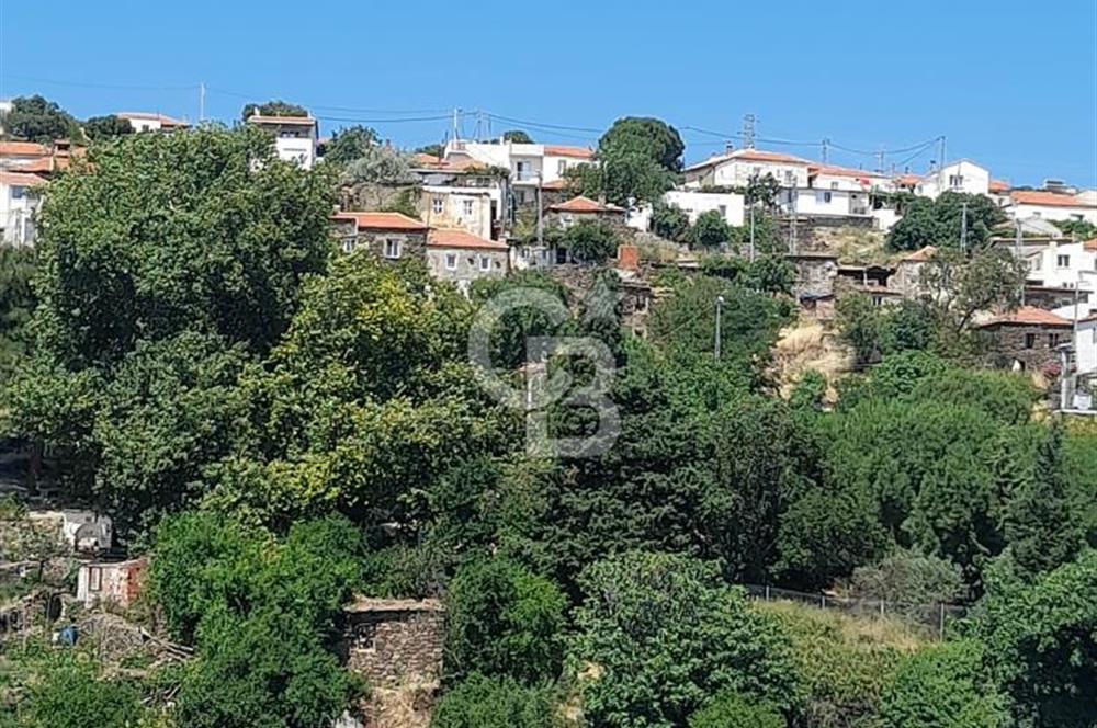 Karaburun Salmanda Doğayla İç İçe 6032 m² Müstakil Tarla