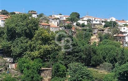 Karaburun Salmanda Doğayla İç İçe 6032 m² Müstakil Tarla