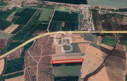 ÇANAKKALE / BİGA / KEPEKLİ KÖYÜ​ Doğayla İç İçe, Deniz Manzaralı ve Yatırıma Uygun Tarla Fırsatı!
